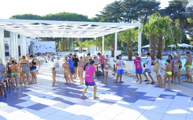 New Apartment in Baia Domzia Near the sea