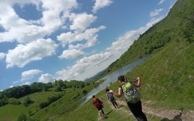 Room in Guest Room - Rural Holiday Transylvania