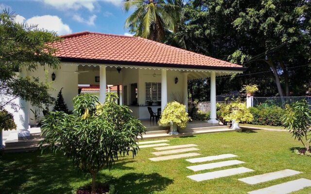 Green Grass Garden