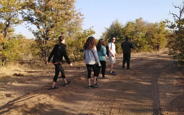 Buffalo Tented Lodge