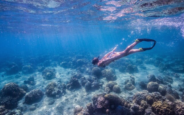 Azura Quilalea Island