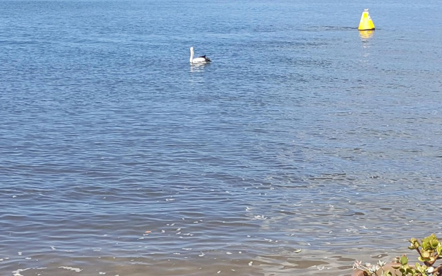 Villa Riviera on River Front