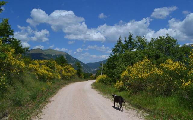 Sant'Apollinare Farm House