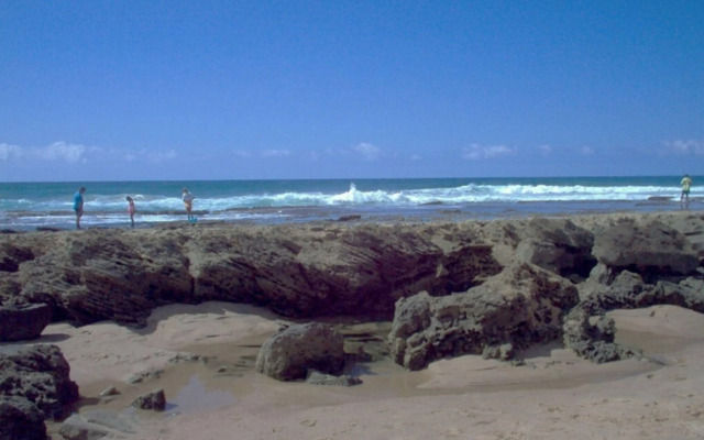 St Lucia Wilds