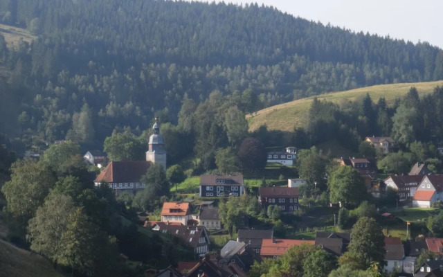 Cozy Holiday Apartment in the Harz