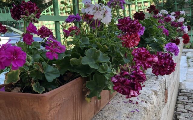 Chambre d'hôtes Auberge des Capucins