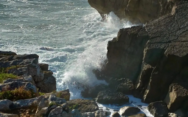 Peniche Nature and Beach Flat