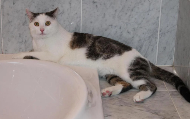 Haralds Ferienwohnungen