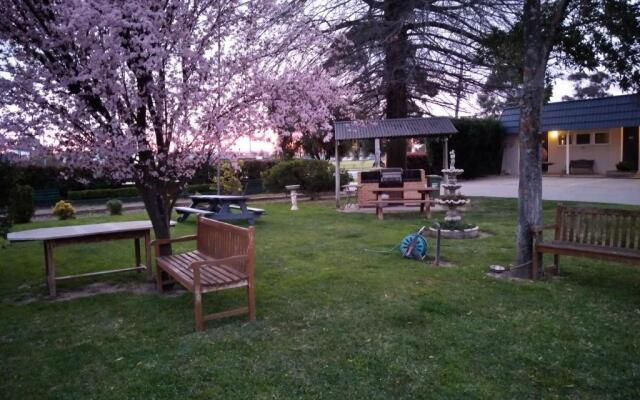 City Park Motel and Apartments