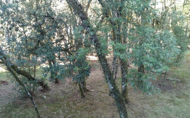 Mountain Village Hotel Canela