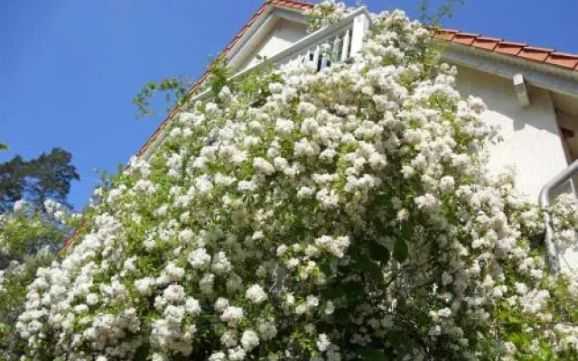 Ferienwohnungen Waren SEE 9190