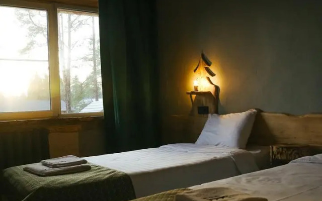 Ёлки(Архангельская)