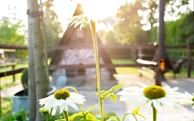 Bed en Breakfast Puur8a