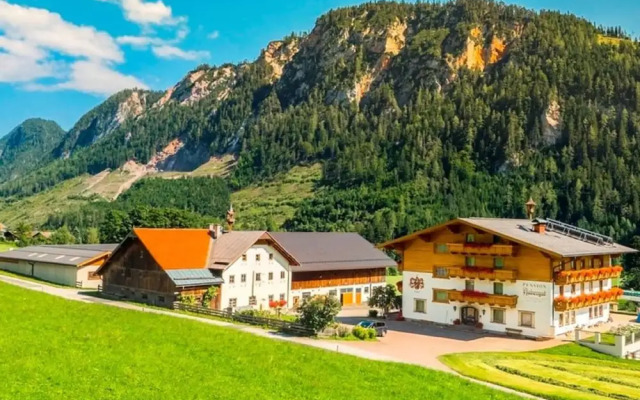 Comfortable Apartment in Radstadt on a Farm