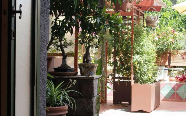 Orchid Corner