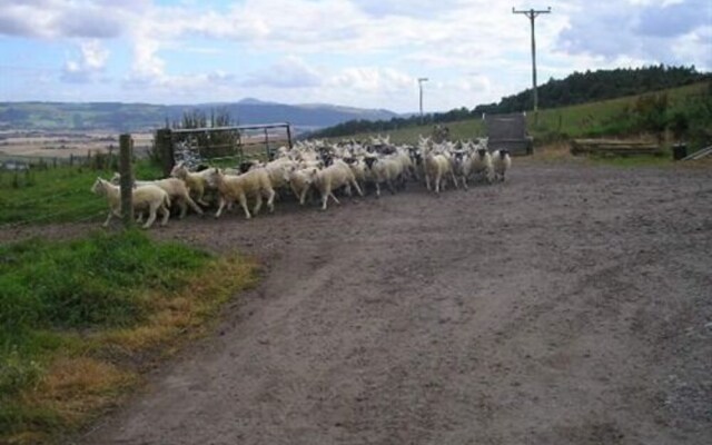 Northlees Farm
