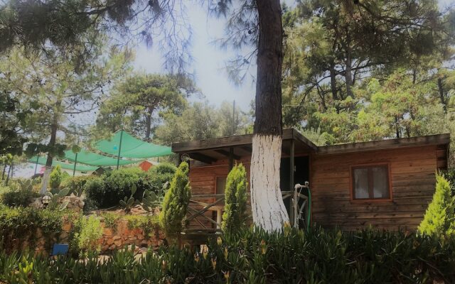 Azmakbasi Camping