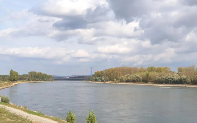 Wohnen direkt am Rhein, Zentrums- und Domnah, 55QM