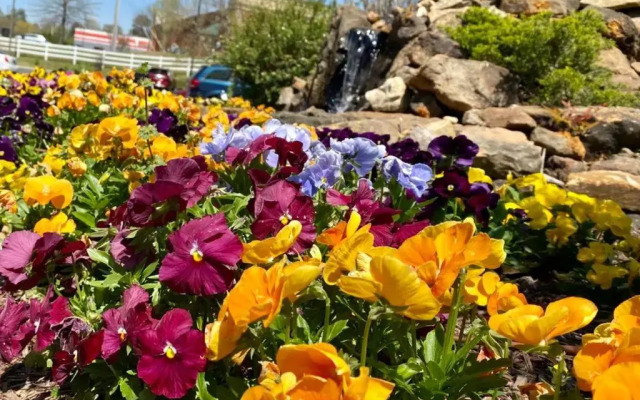 Country Inn & Suites by Radisson, Jackson, TN