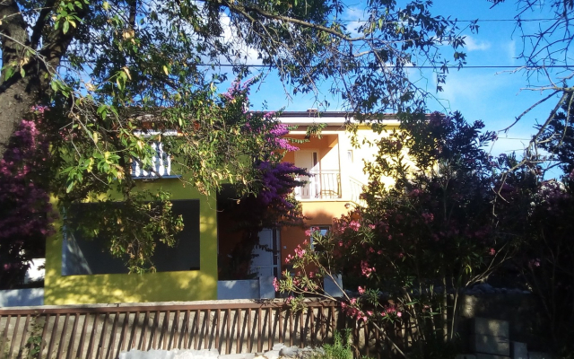 Apartment Midi - with two apartments: A1 Petrcane, Zadar riviera