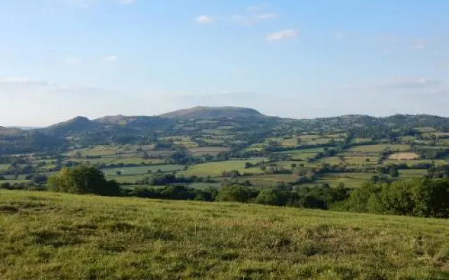 The Farm Snead Bed & Breakfast