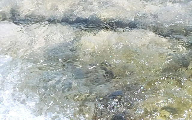 Nonno Ciccio Apartment