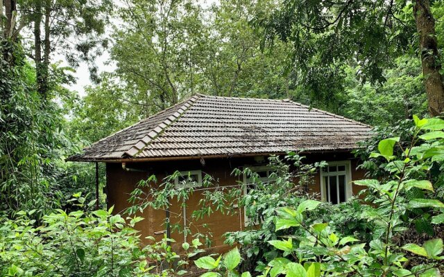 Thennal Jungle Camp Pvt Ltd