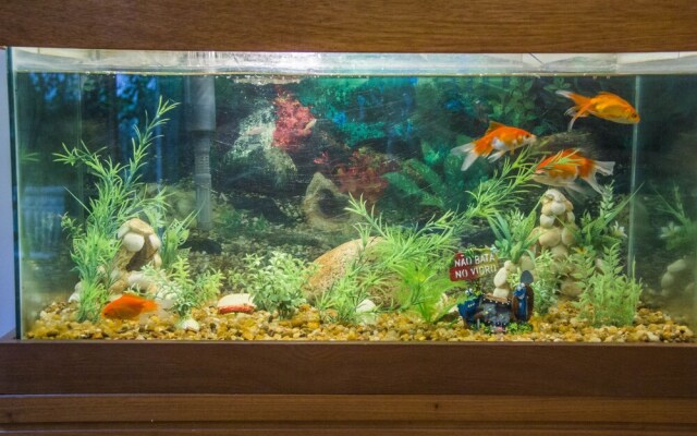 All in Rio - Deliciosa Varanda no Leblon