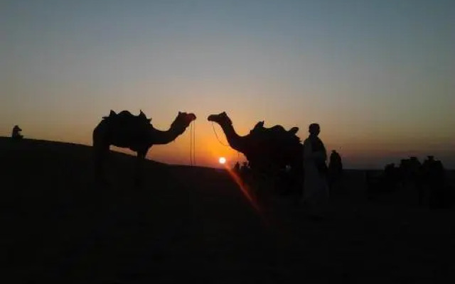 Desert Safariors Camps