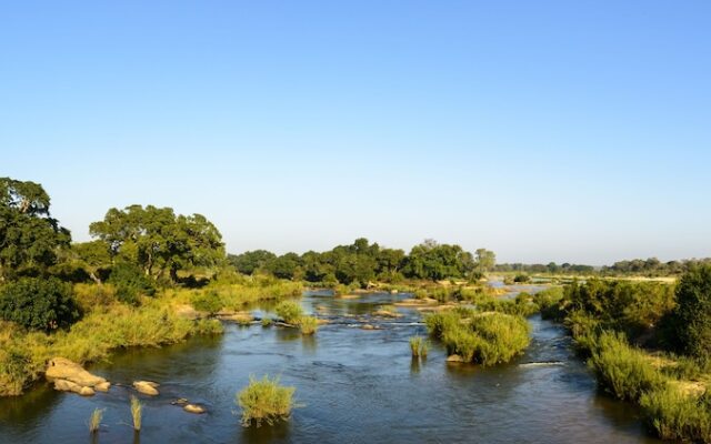 Plains Camp @ Rhino Walking Safaris