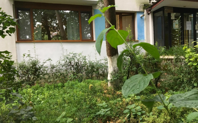 Peles Green Apartment