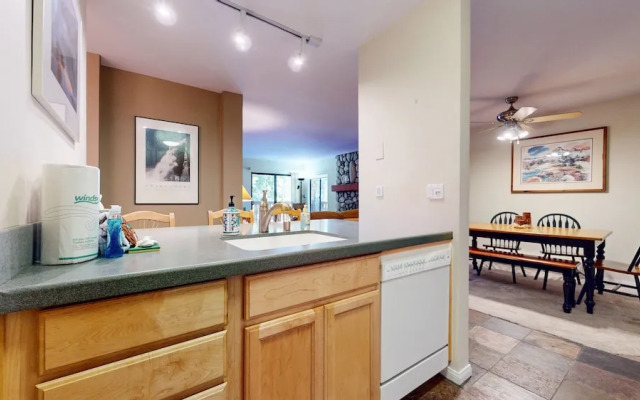 Summit #243 1 Bedroom Condo