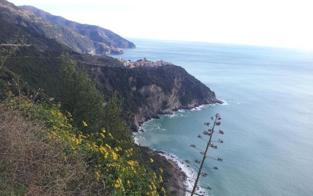 Bed & Breakfast Terra di Liguria