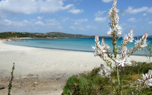 Locazione Turistica Gardenia