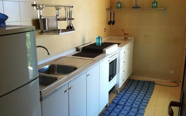 Home-holidays Sea-life