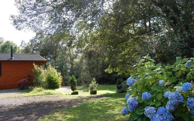 Cosy Rowan woodland lodge no1