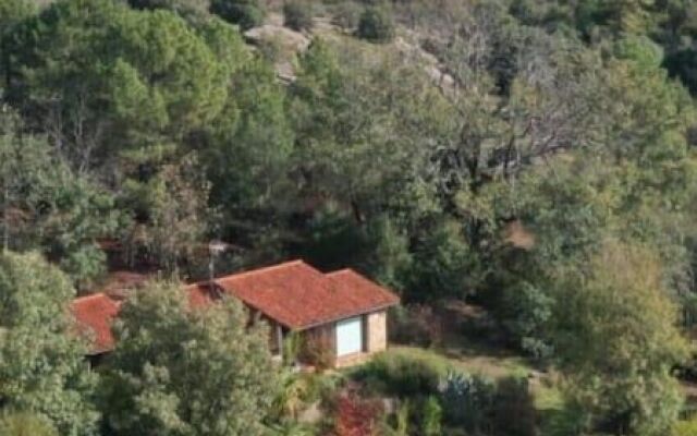 Apartamentos El Roble