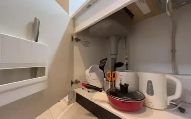 NOZOMIO PREMIER Meidaimae