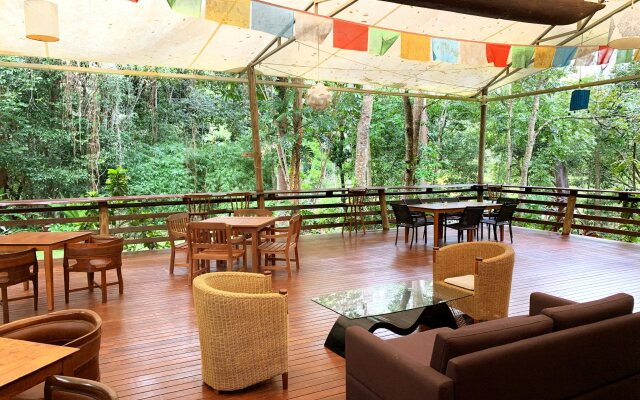 Cedar Park Rainforest Resort