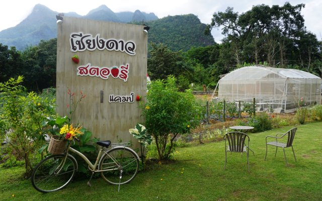 Chiang Dao Story Camp