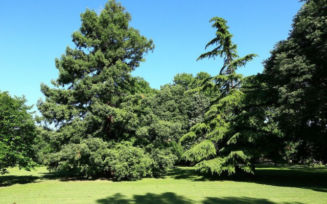 Domaine de Rhodes