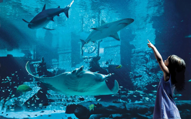 The Royal at Atlantis