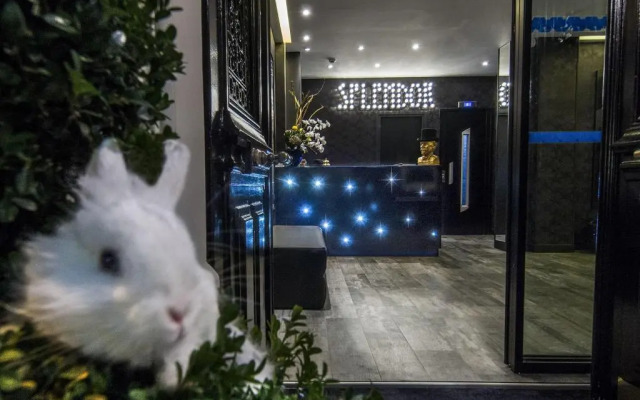 hotelImage