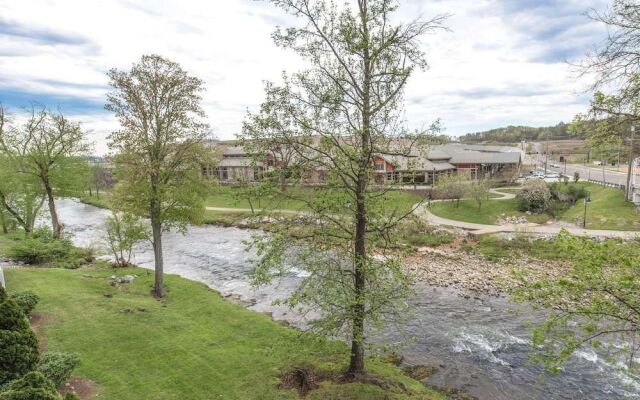 Bear Crossing by VTrips