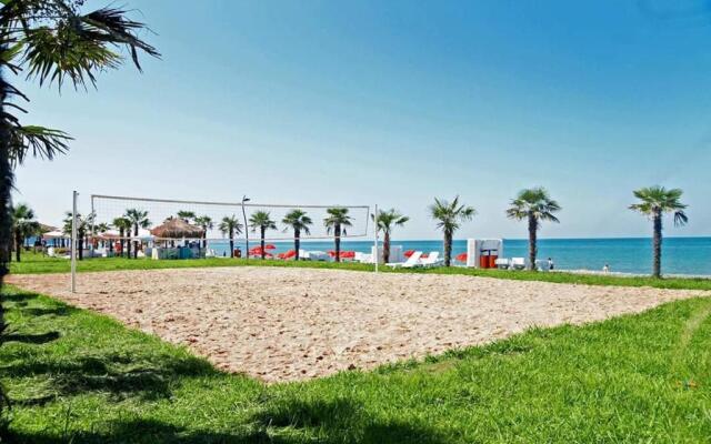 Dreamland Oasis of happiness