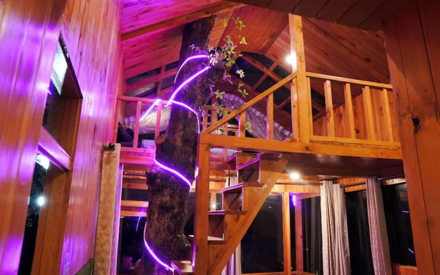 WOW Treehouse & Cottages