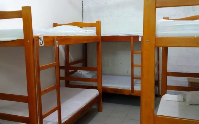 Tauma Hostal & Camping