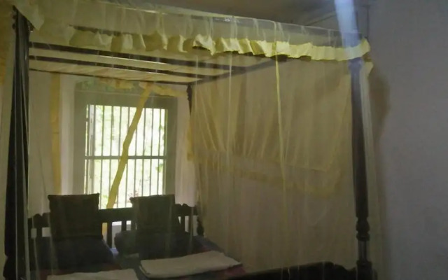 The Jungle House