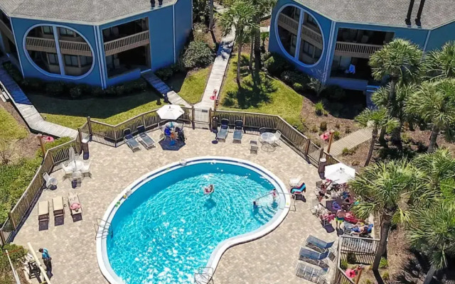 Hibiscus H104 in St Augustine