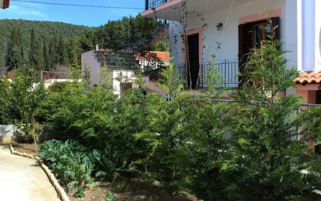 Delma Summer Houses